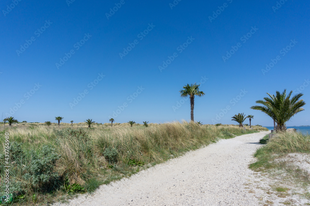sandy path leading to the Palm Beach in Frederikshavn