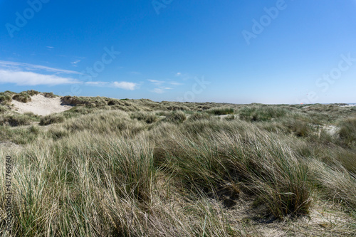 view of tall sand dunes covered in reeds and grasses under a blue sky