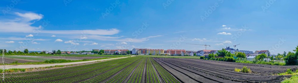 Naklejka premium Panorama Ackerland Bamberg