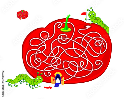 Logic puzzle game with labyrinth for children and adults. Help the worm find the way to his friend. Worksheet for kids brain teaser book. Play online. Flat cartoon illustration. Tomato maze for kids.