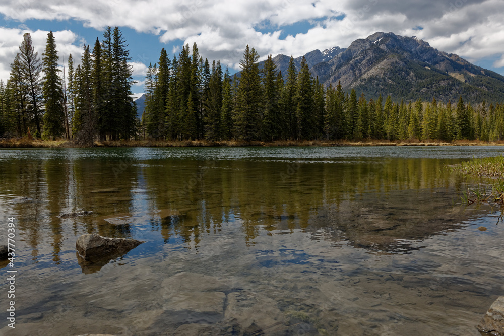 Mountains, forest reflected in river