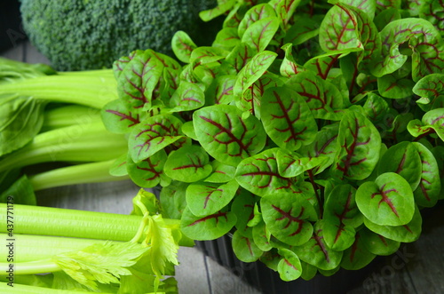 Micro greens. Sorrel. Green background. beet leaves micro greens Healthy salad, leaves