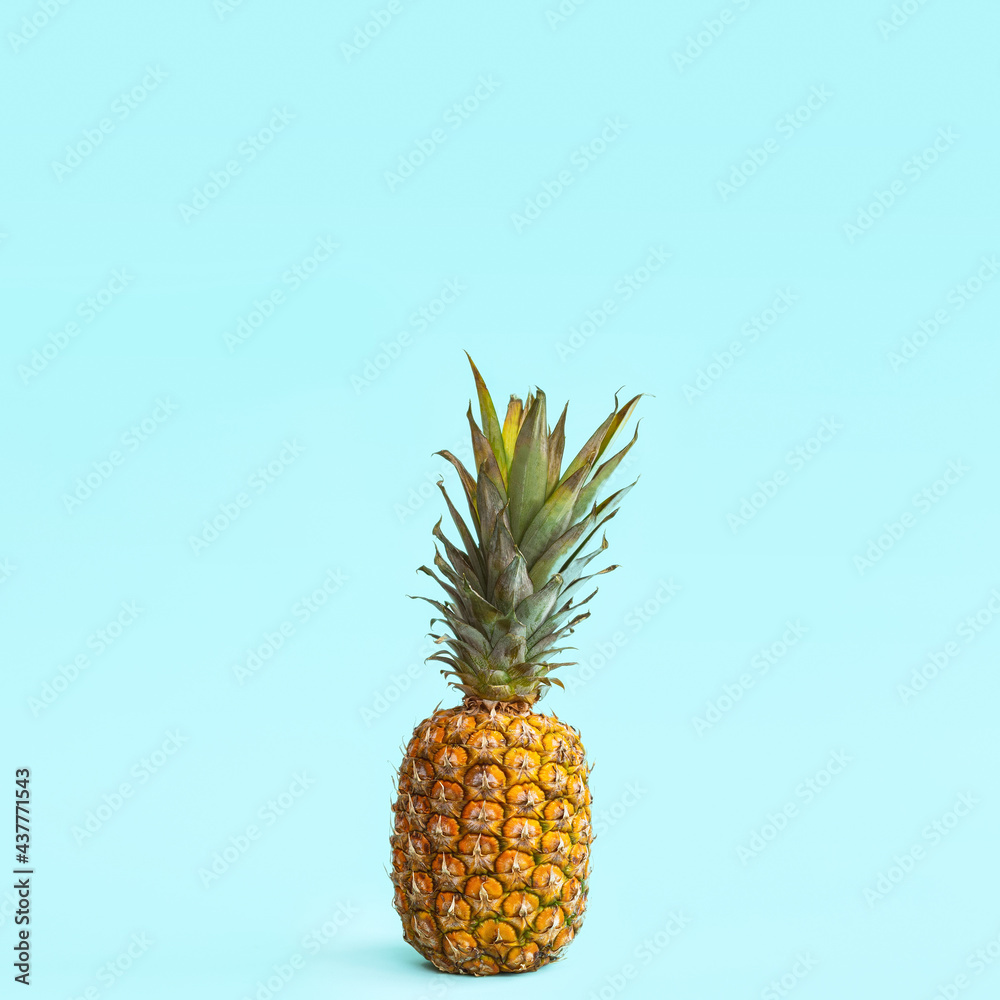 Pineapple blue background. Square. Copy space