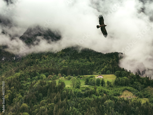 clouds in the mountains