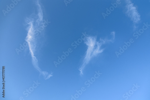 Bild auf Leinwand white cirrus clouds in blue sky on a summer day