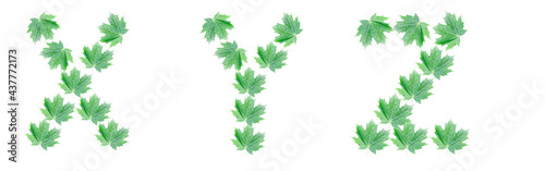 The letters X  Y  Z are made of green maple leaves