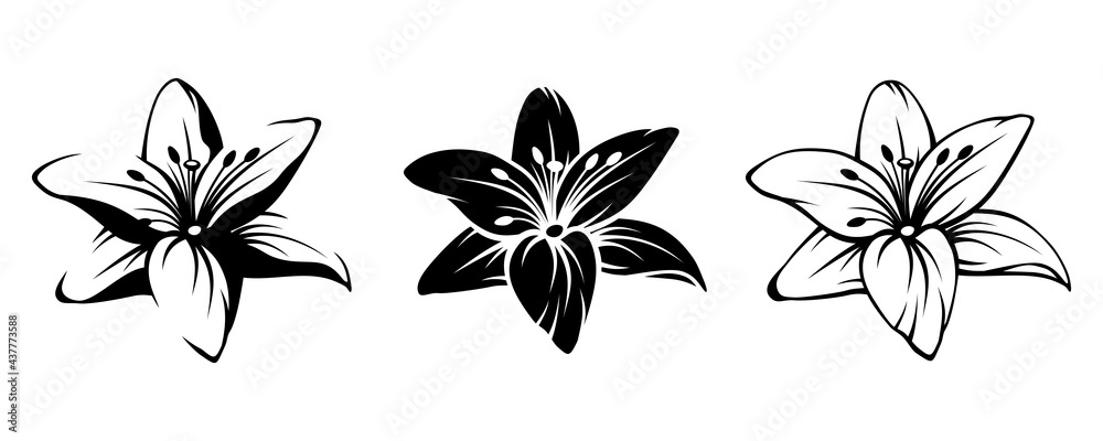 Vector set of black silhouettes of lily flowers isolated on a white background.
