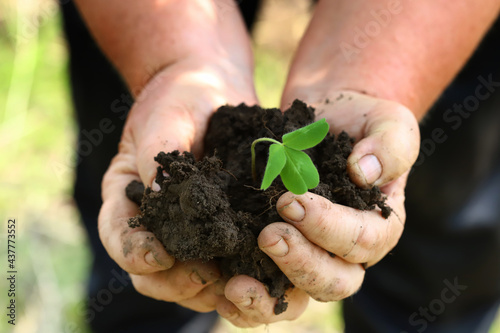 Hands with soil and green sprout.