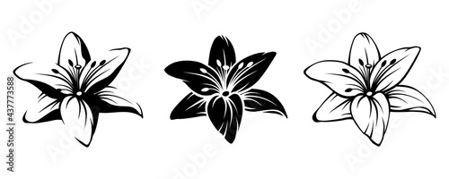 Vector set of black silhouettes of lily flowers isolated on a white background.