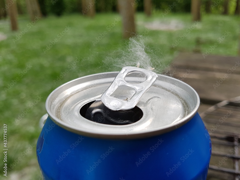 an aluminum beer can in the woods and poplar fluff on top of it an aluminum beer can in the woods and poplar fluff on top of it