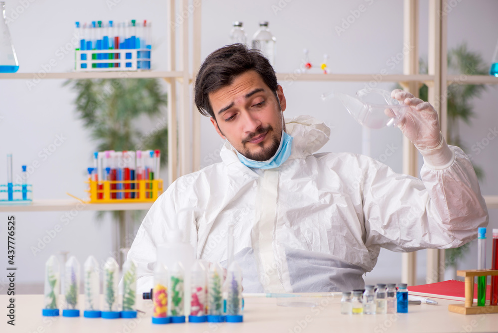Young male chemist working at the lab during pandemic Young male chemist working at the lab during pandemic