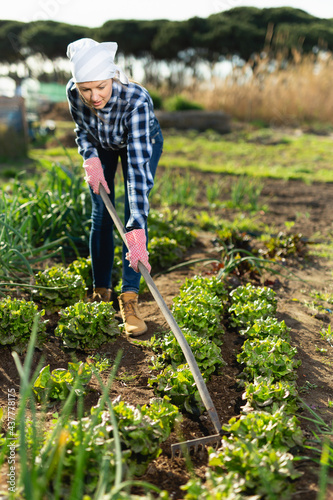 Slender female gardener with rake. High quality photo