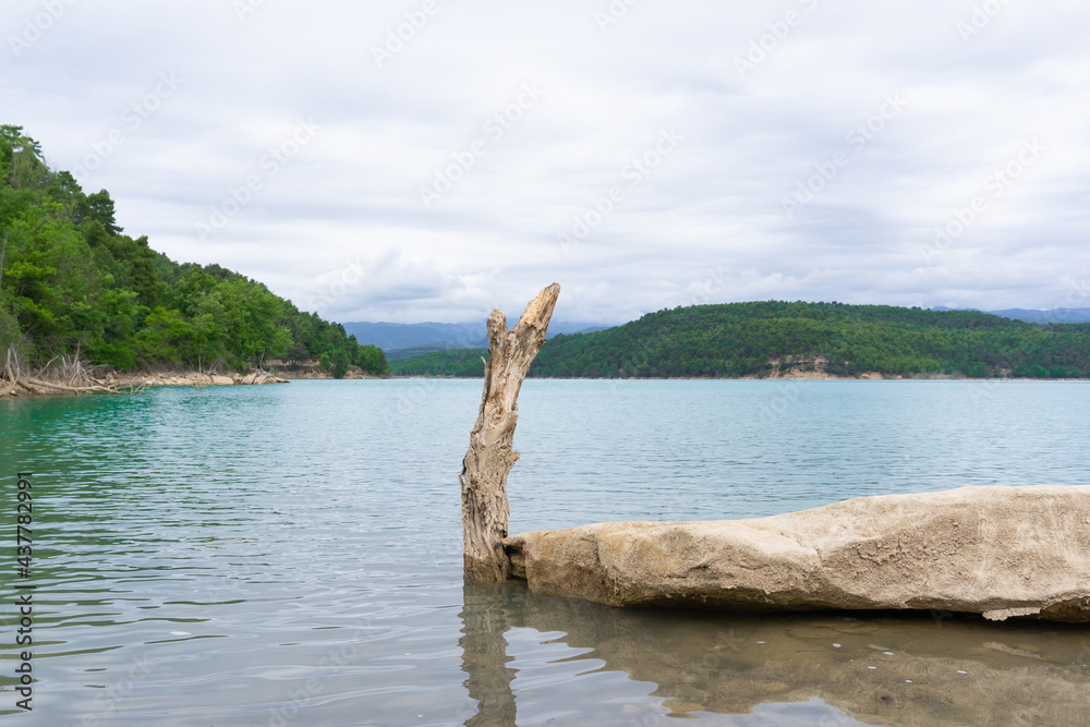 Close-up of a broken tree trunk and a rock and in the background the turquoise water lake Close-up of a broken tree trunk and a rock and in the background the turquoise water lake
