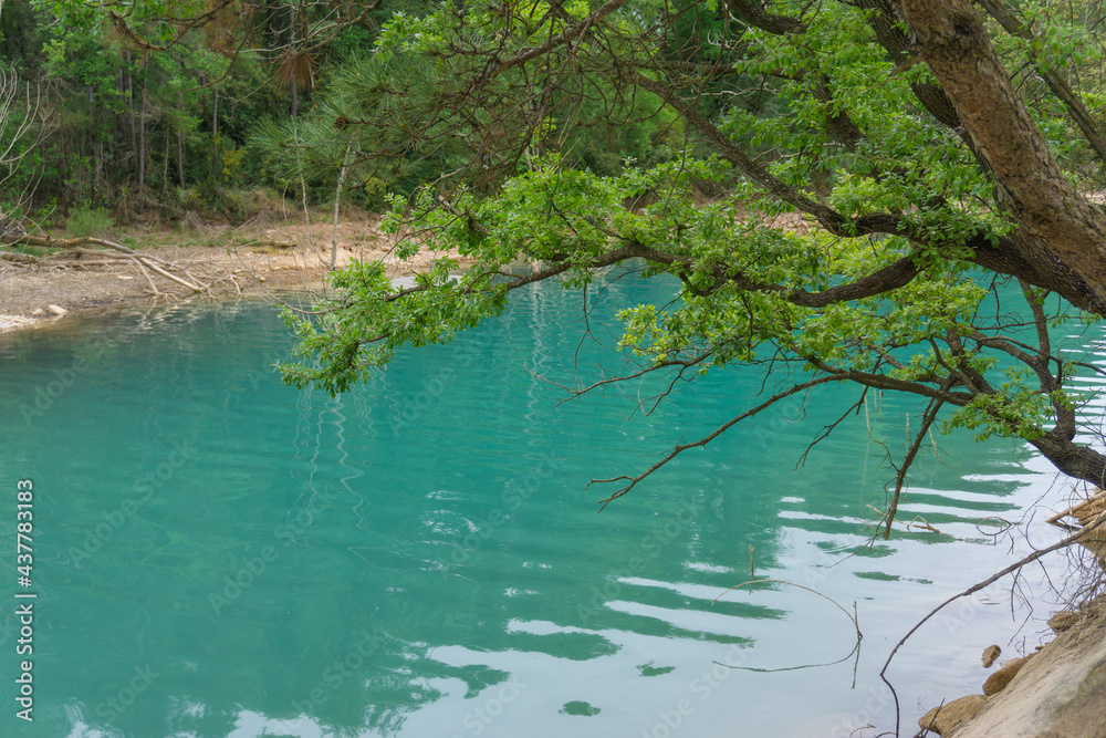 Landscape of a river with turquoise water and green trees Landscape of a river with turquoise water and green trees