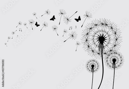 Dandelion with flying butterflies and seeds, vector illustration
