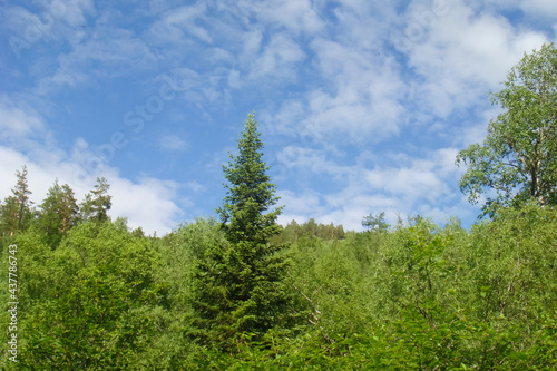 Small Bor tract, Khakassia photo