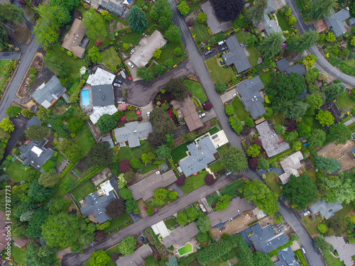 Small city. In the frame, we see the roofs of small houses. Well-groomed plots near houses. Lots of greenery, trees, bushes. There are no people or cars. Shooting from a drone.