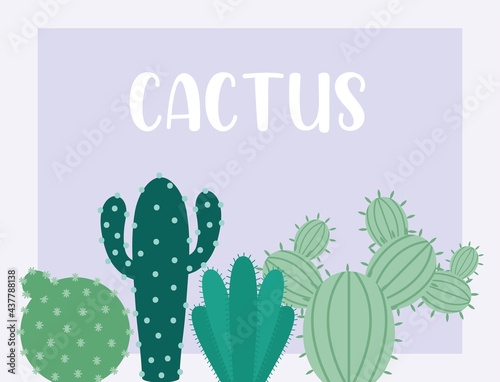 greens cactus card