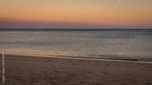 Fototapeta Naklejka Na Ścianę i Meble -  Colorful sky at morning before sunrise with silhouette of seagulls at praia da Figueira, Portugal