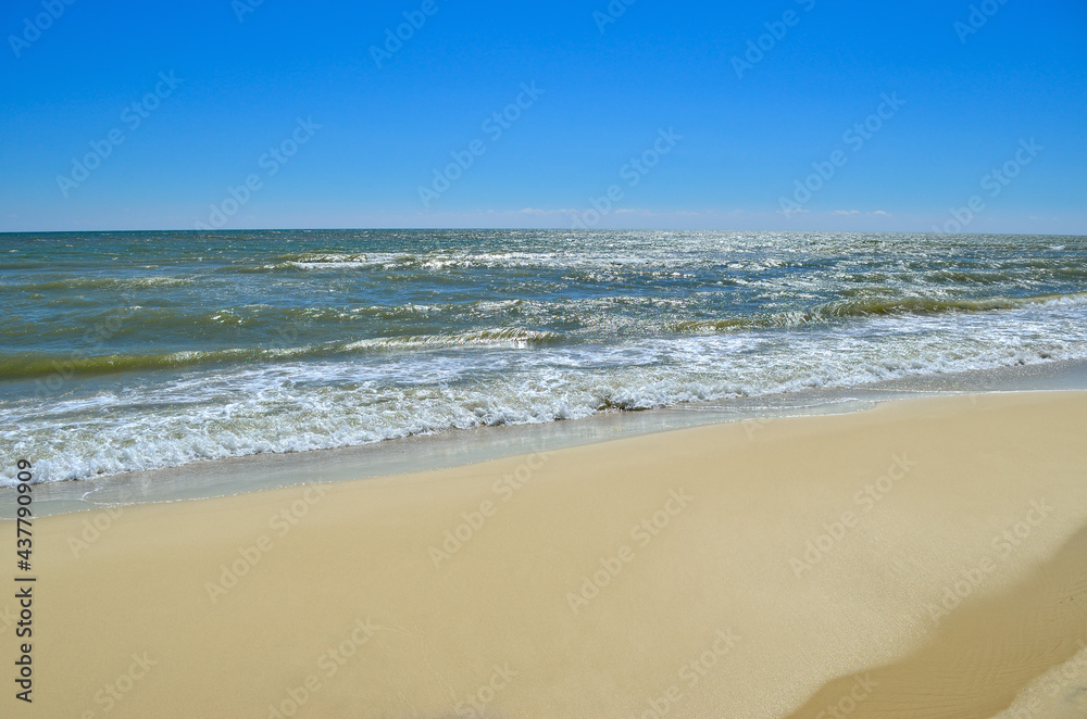 Sea waves wash the beach against a blue sky. Landscape on a wild beach.