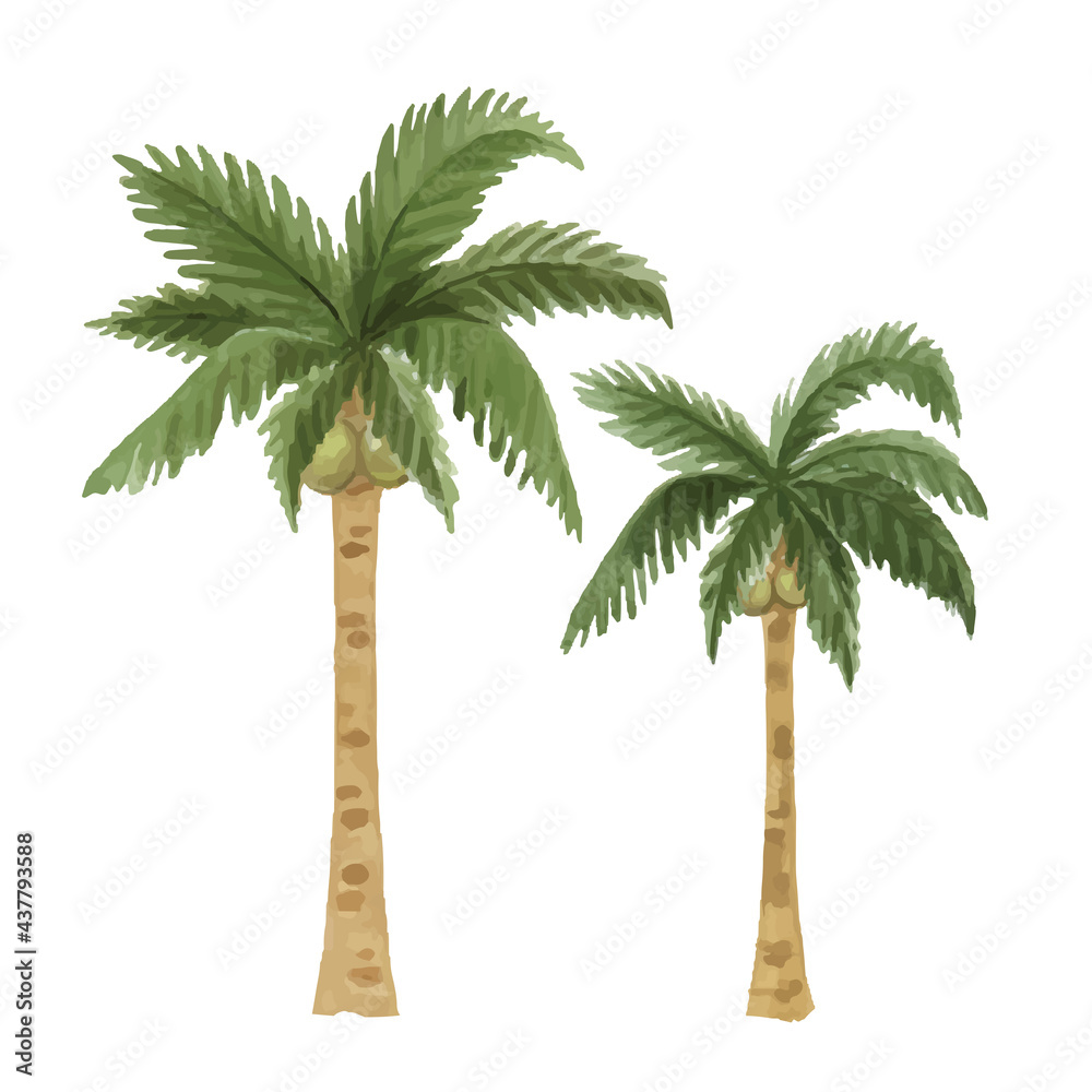 ヤシの木の水彩イラスト Stock Vector Adobe Stock ヤシの木の水彩イラスト Stock Vector Adobe Stock