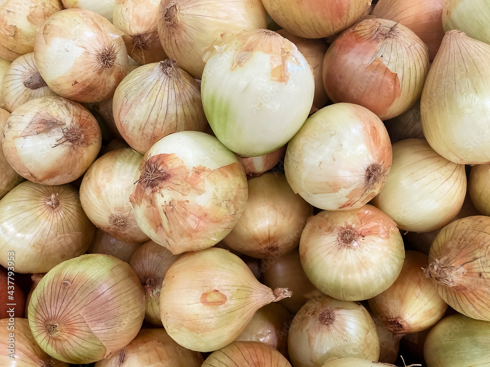 Fresh Brazilian onions for sale in the market. Fresh Brazilian onions for sale in the market.