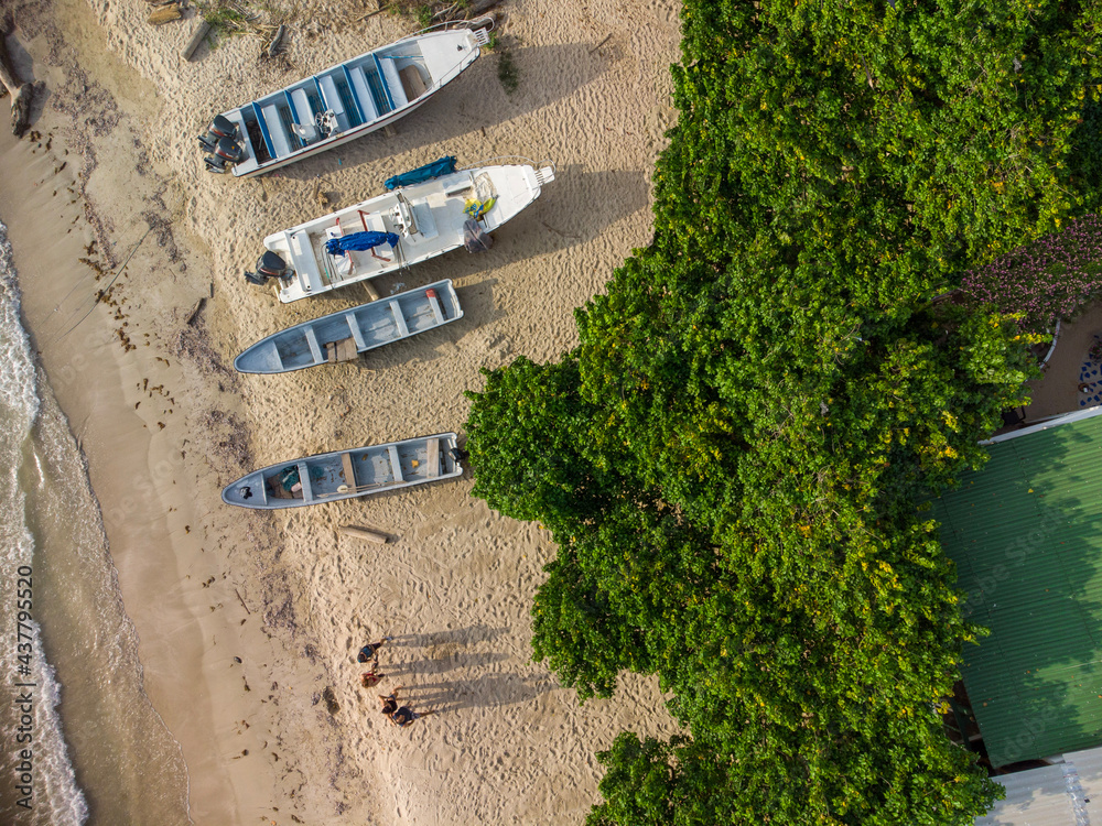 boats on the sand next to trees