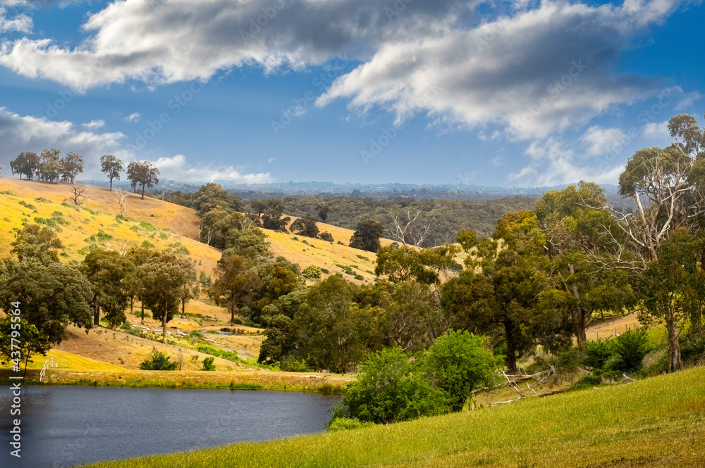 Fototapeta premium Dam The Valley