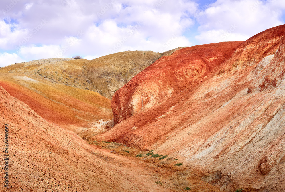 Fototapeta premium Mars in the Altai Mountains. The slope of the river terrace with the exposure of colorful clays and siltstones under the blue sky is a geological attraction. Chui Valley, Siberia, Russia