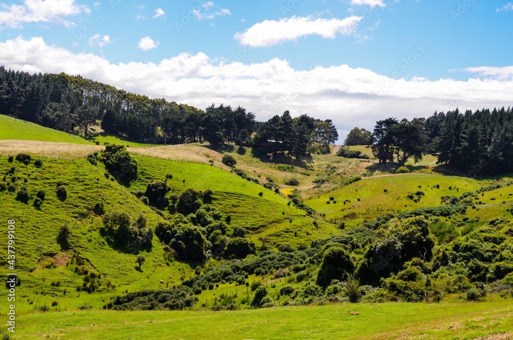 Otago Peninsula rolling hills New Zealand