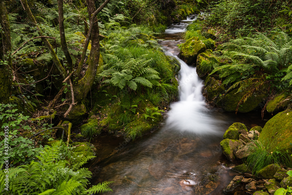Beautiful water stream in Gresso river Portugal Beautiful water stream in Gresso river Portugal