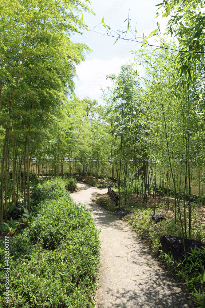 Obraz premium 初夏の好古園