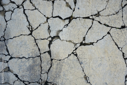 crack of polish concreat floor. photo