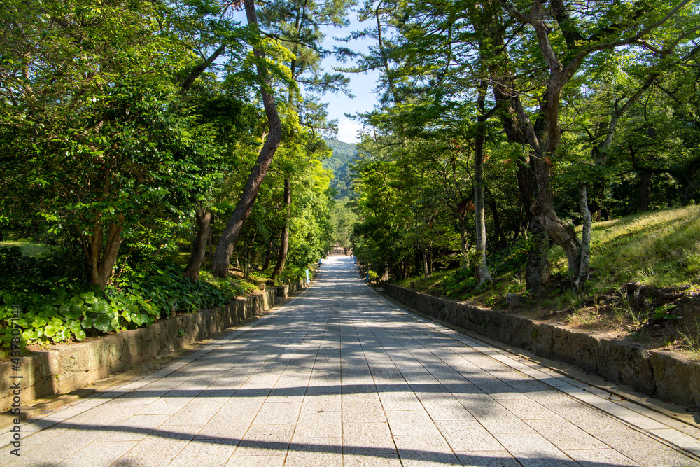 出雲大社の下り参道