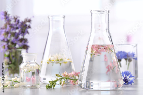 Laboratory glassware with different flowers on light table. Essential oil extraction photo