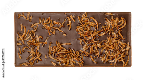 French chocolate bar filled with edible insects approved for consumption in Europe, mealworms Tenebrio molitor, close up isolated on white background. photo
