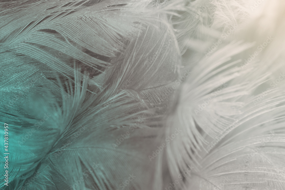 white rust-colored feather wooly pattern texture background