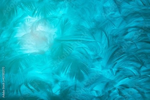 blue green feather texture pattern background with lighting