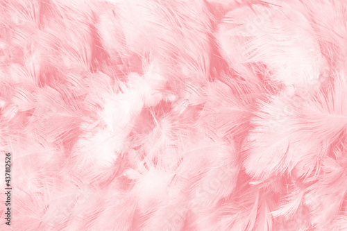 Beautiful light pink feather pattern texture background