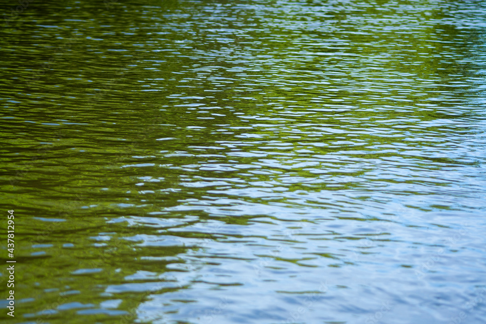 Obraz premium ripple green water texture with reflections of the trees. River surface background texture pattern