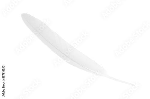 white feather on white  background
