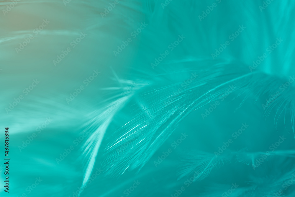 Beautiful blue green turquoise vintage color trends feather texture background