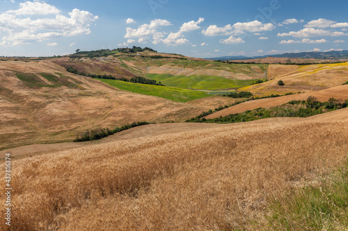 Wallpaper Mural Landscaping view of yellow fields and green meadows at Asciano area during harvest time, Siena Province, Tuscany, Italy Torontodigital.ca