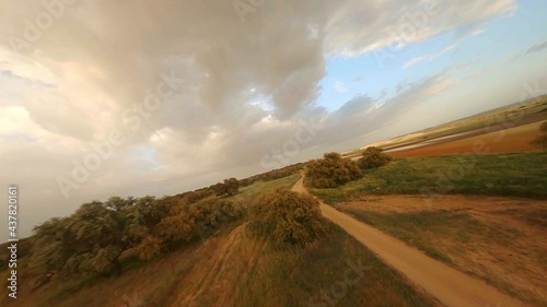 Aerial view of the trees that surround the Andalusian fields photo