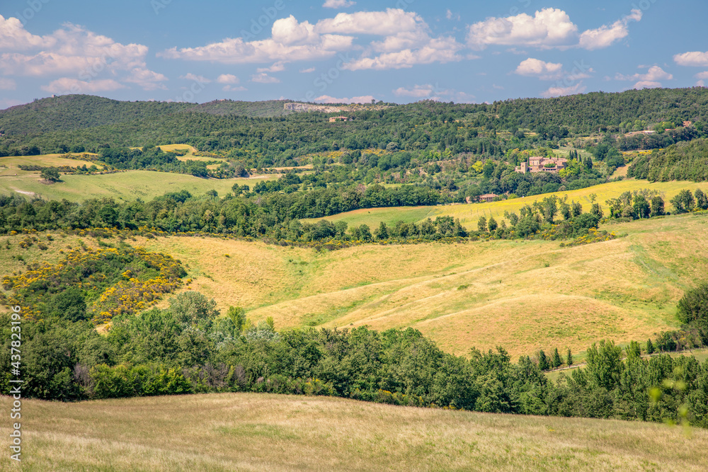 Landscaping view of green and fields of Asciano area at harvest time, Siena Province, Tuscany, Italy