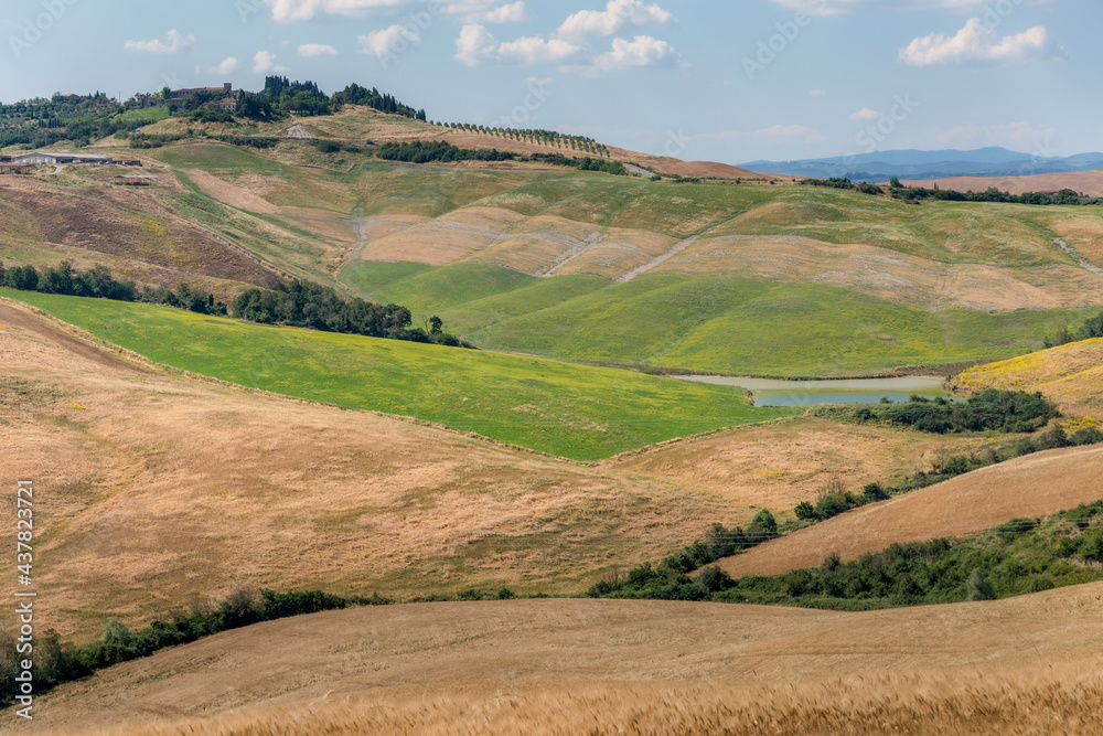 Agricultural panorama of Asciano area during harvest time, Siena Province, Tuscany, Italy