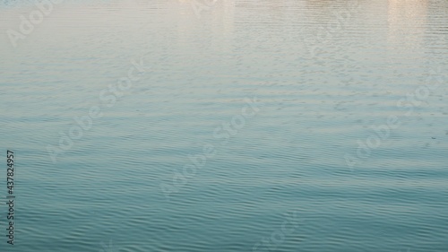 Clam blue lake