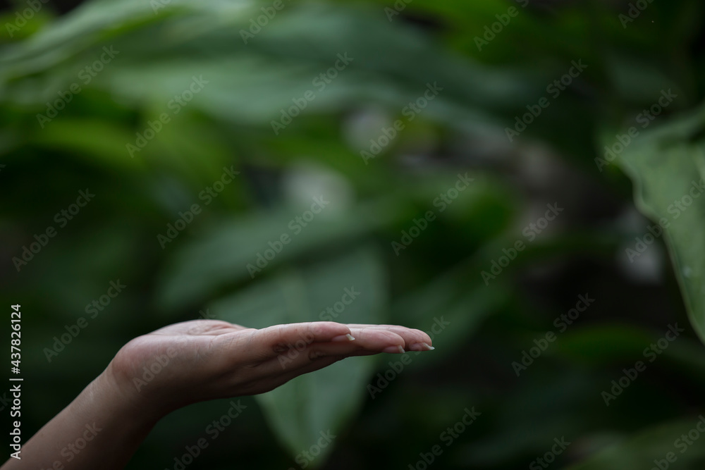 Technology, hand holding with environment Icons over the Network connection on green background