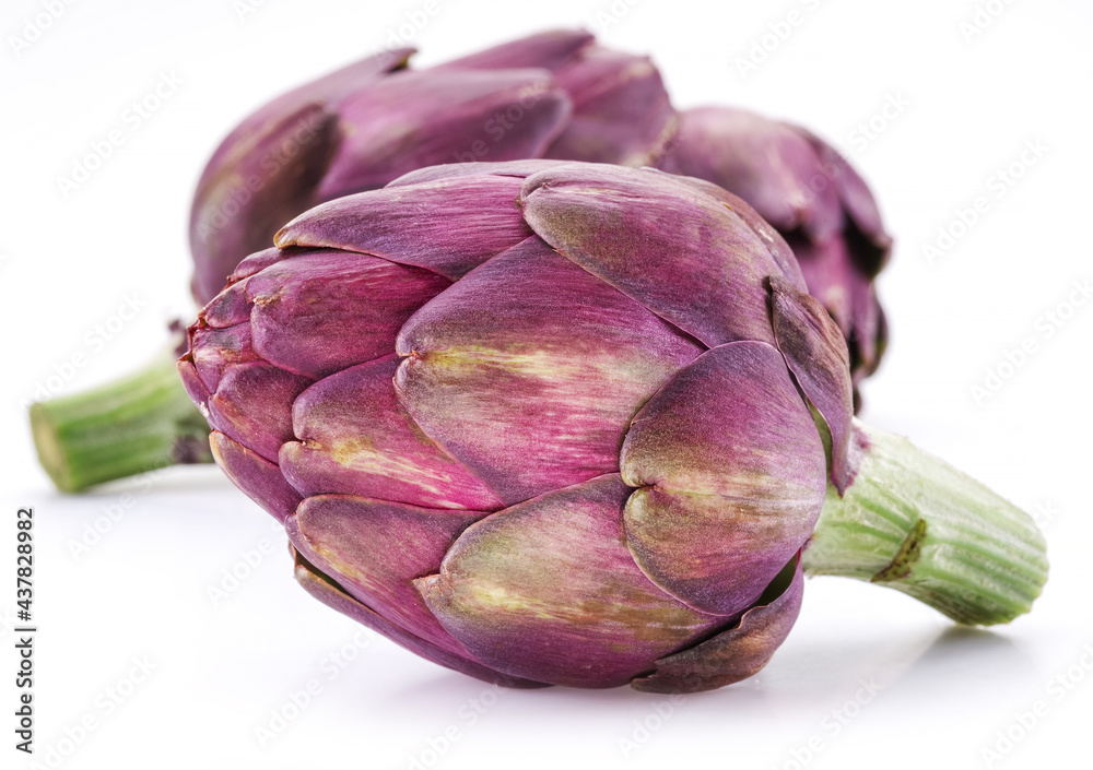 Obraz premium Artichoke flower, purple edible bud isolated on white background.