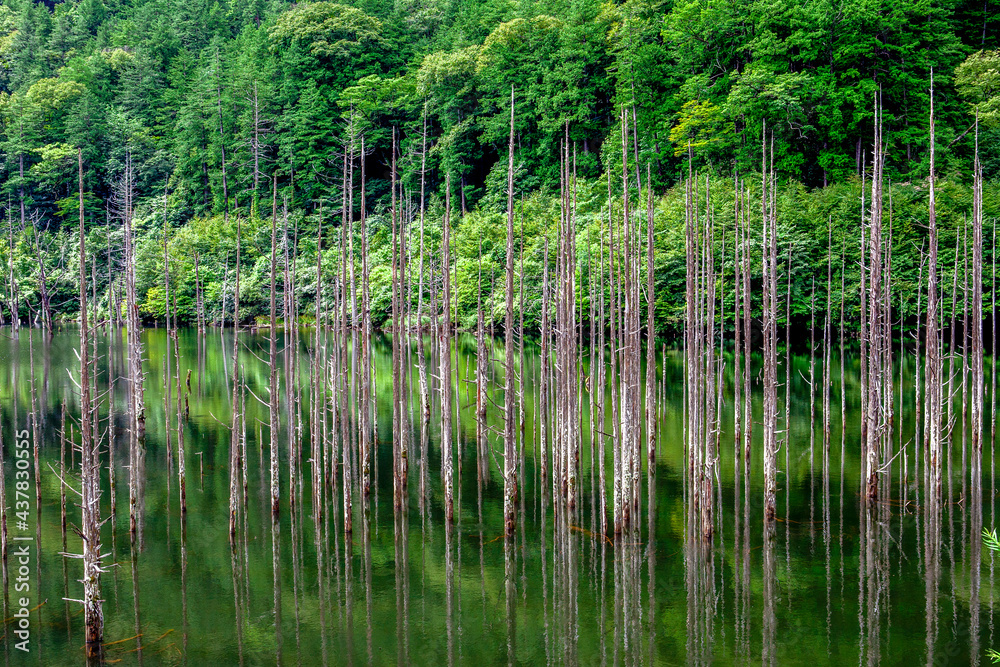 自然湖 自然湖